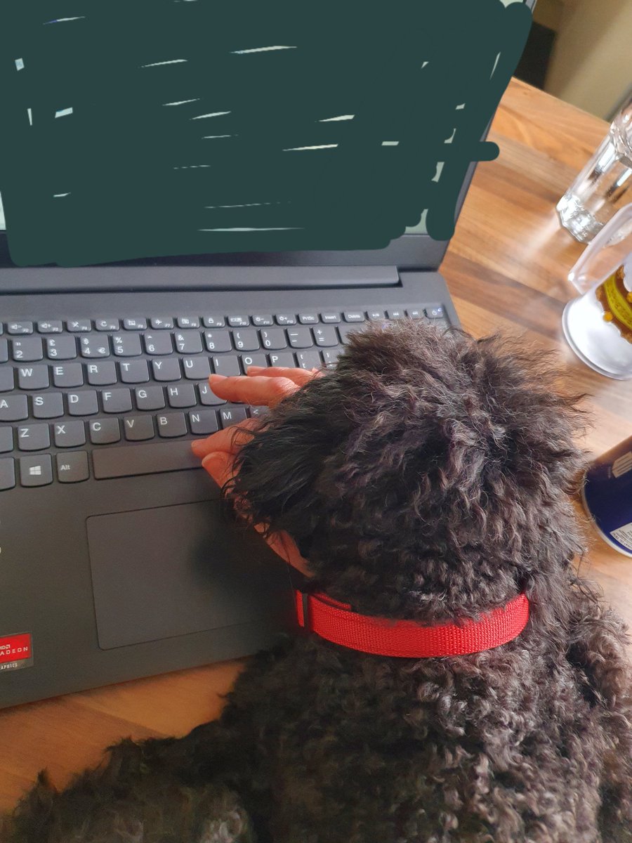 I thought this only happened with cats. 🤔