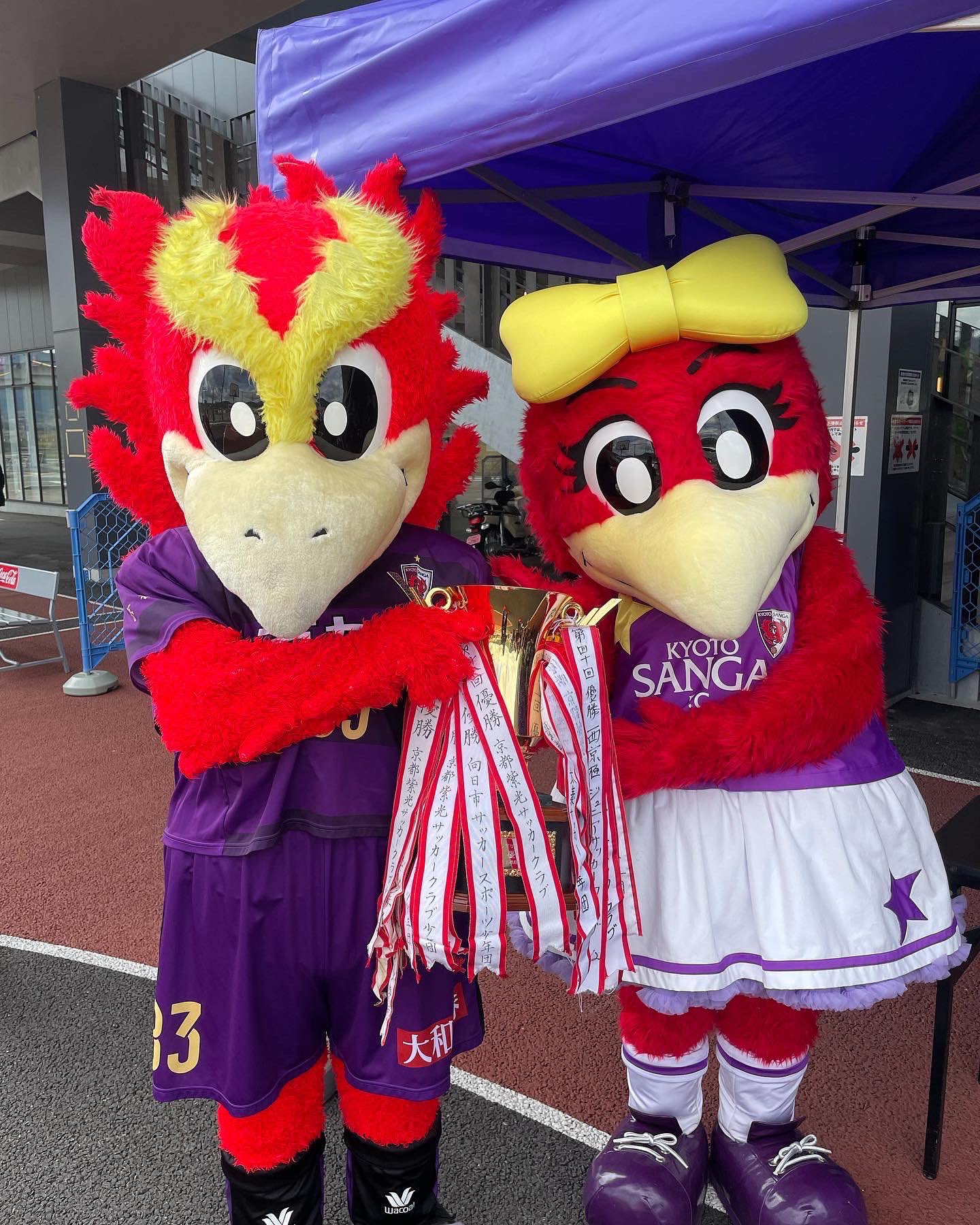 サンガカップ Twitter Search Twitter