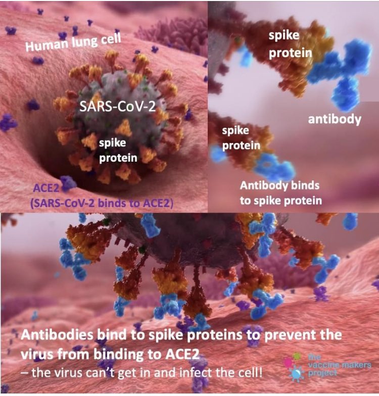 Aimee Pugh Bernard, PhD tweet media