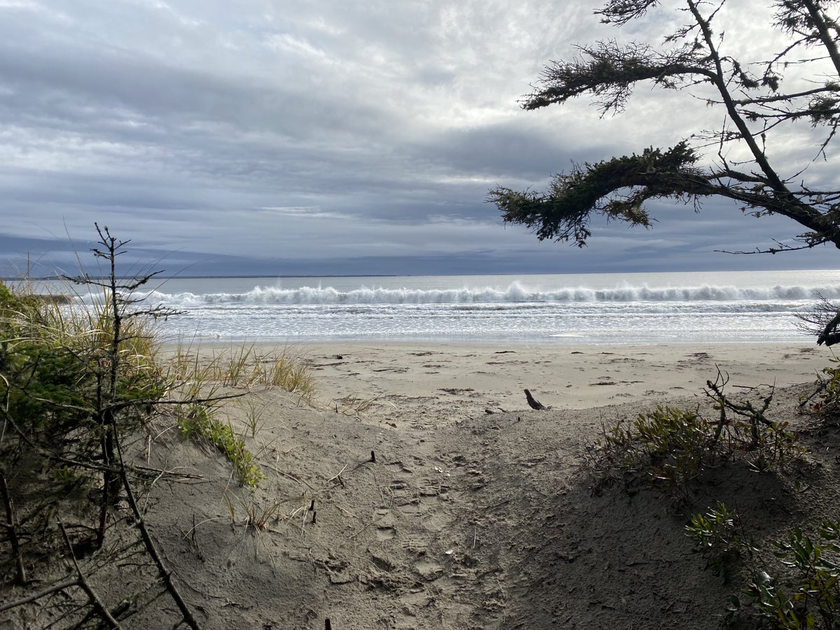 aucoin_raymond's tweet photo. View from my walk on Risser’s Beach yesterday. My happy place! #risser’s beach #nsbeaches https://t.co/g3LIxkZ6vG