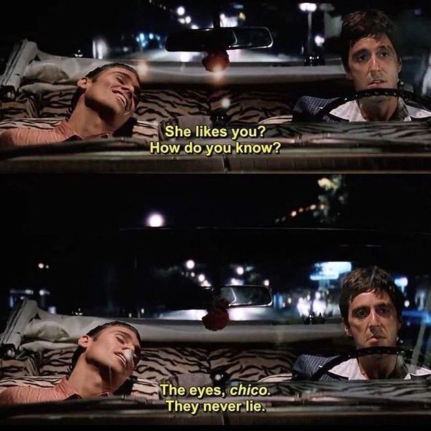 pedestrian's tweet image. 