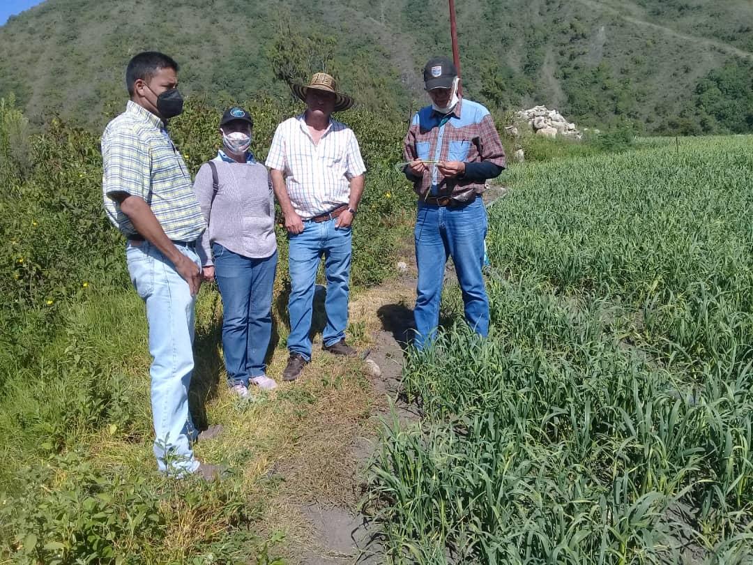 MERIDAIMDERURAL's tweet photo. El gobierno de  @RamonGuevaraMRD a través de Imderural @rafaelaraqueroa continúa dando prioridad al desarrollo del sector agricola en el estado, el cual en estos últimos 4 años ha logrado superar su menguada capacidad y abastecer el mercado de consumo a pesar de las dificultades. https://t.co/VSbpFHy9c5