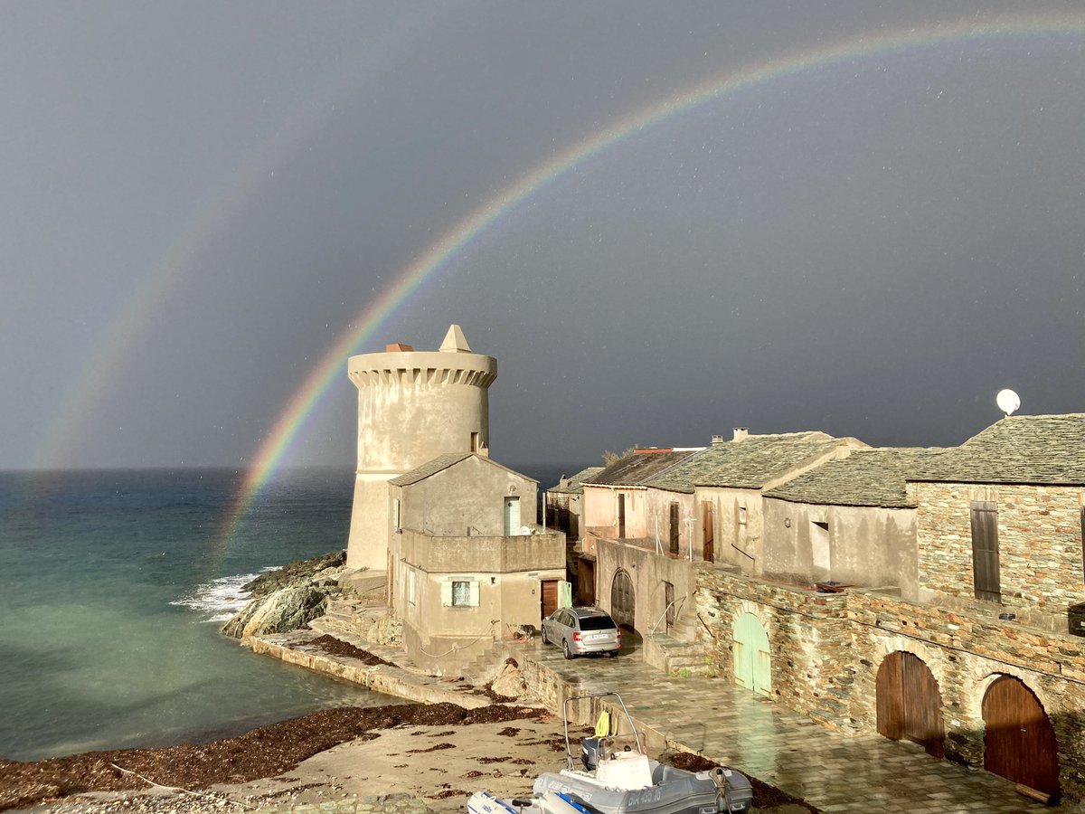 Albertini Battì tweet media
