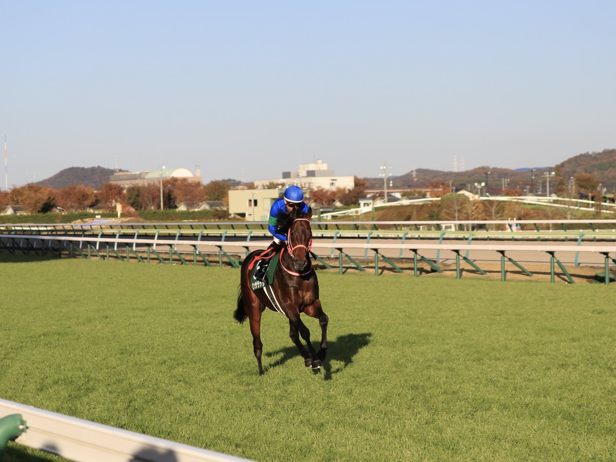 masayosi_gold's tweet photo. 4コーナー側の外ラチで返し馬を見ていたのですが、急にパンサラッサが来たので #QPK ピント合わせが追いつきませんでした😆
#広尾サラブレッド倶楽部 #福島記念 https://t.co/gU94k2zQHF