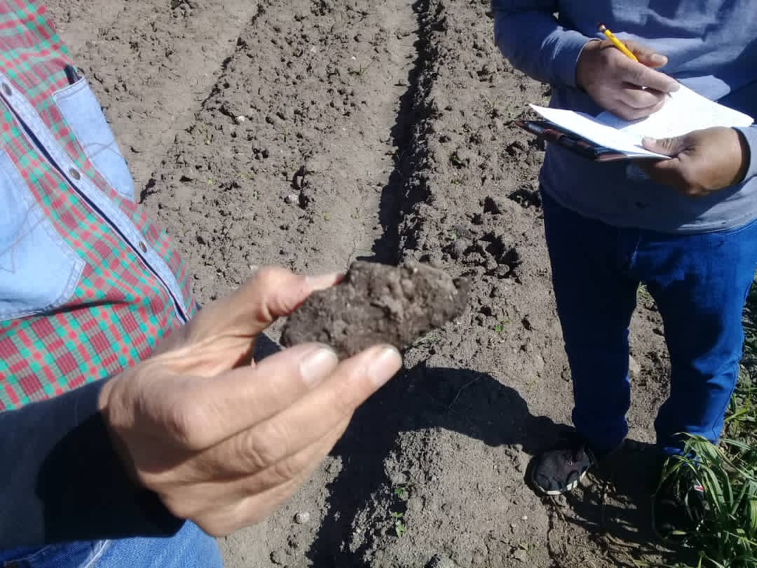 MERIDAIMDERURAL's tweet photo. Las direcciones de Extensión, Ambiente e Infraestructura de Imderural, con profesionales de la ingeniería, realizaron inspección y visita técnica  a 4 sistemas de riego,  parcela demostrativa para desinfección de suelos y taller de suelos con productores en el Municipio Rangel. https://t.co/0M0VALuM7C