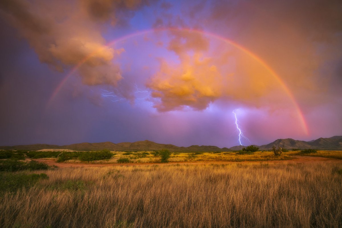 Southern Arizona, U.S🇺🇸📷©David Swindler