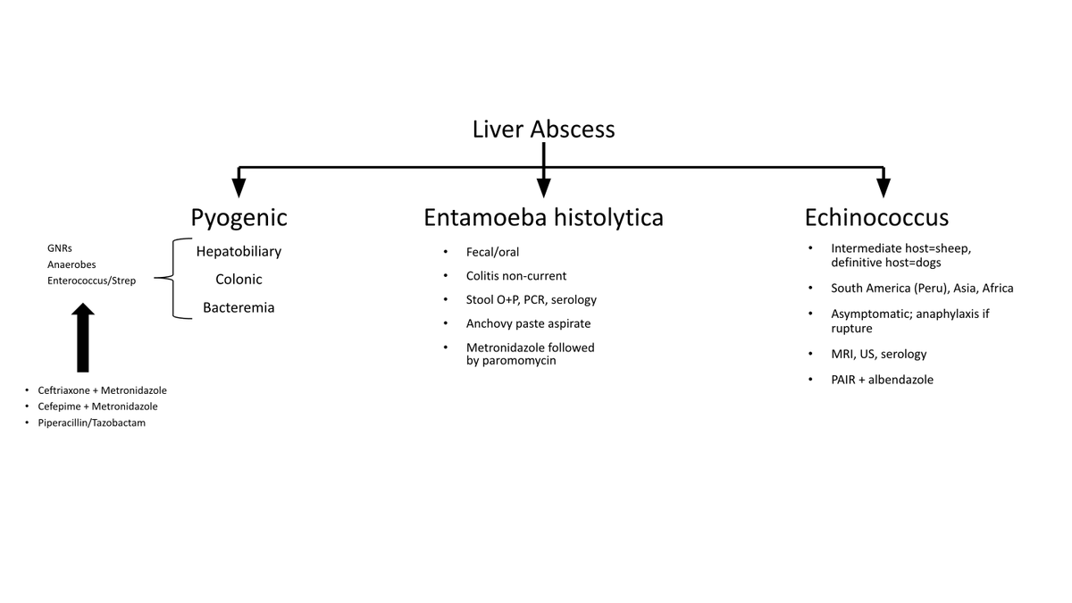 IDSAMedEdCOP's tweet photo. Do you want to teach in the clinical setting but have limited time?
Use this #IDChalkTalk on Liver Abscesses by @Darcy_ID_doc (https://t.co/fC2pPZOi16, click on Teaching & Learning Resources, then ID Chalk Talks)
#IDMedEd
#MedEd https://t.co/sToC13gtVq