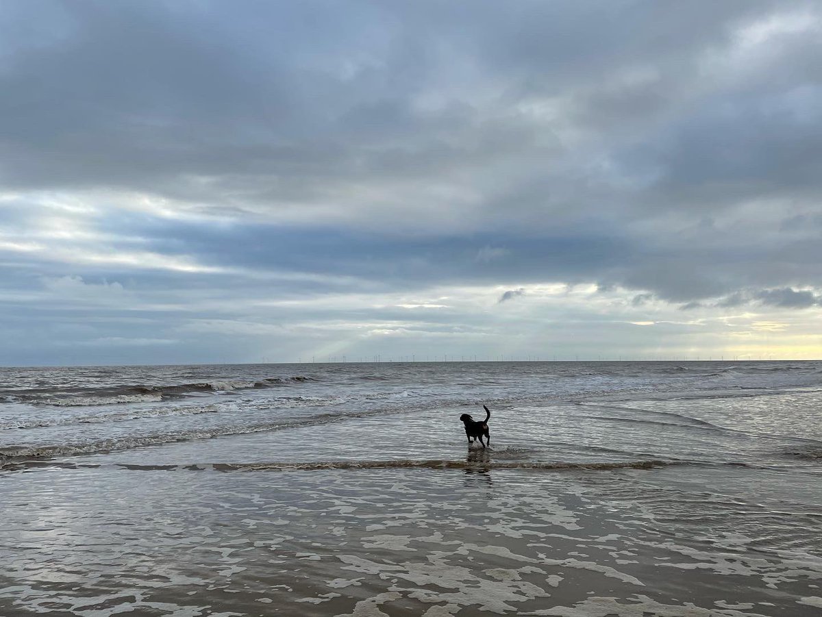 Rach_Archaeo's tweet photo. Sunday beach strolling. Anderby Creek #lincolnshirecoast https://t.co/fNCCeDEwic