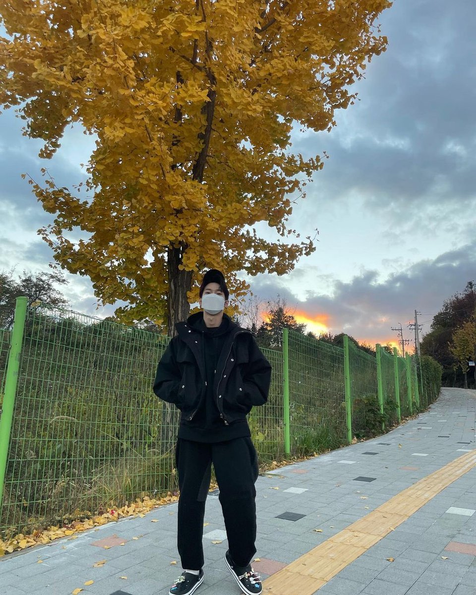 doyouctng's tweet photo. today a lot of leaves are falling, but the sky is beautiful. tmi, if you want to copy the crocs, it means you also copy Gongmyung hyung. https://t.co/0gHVnCYyYU