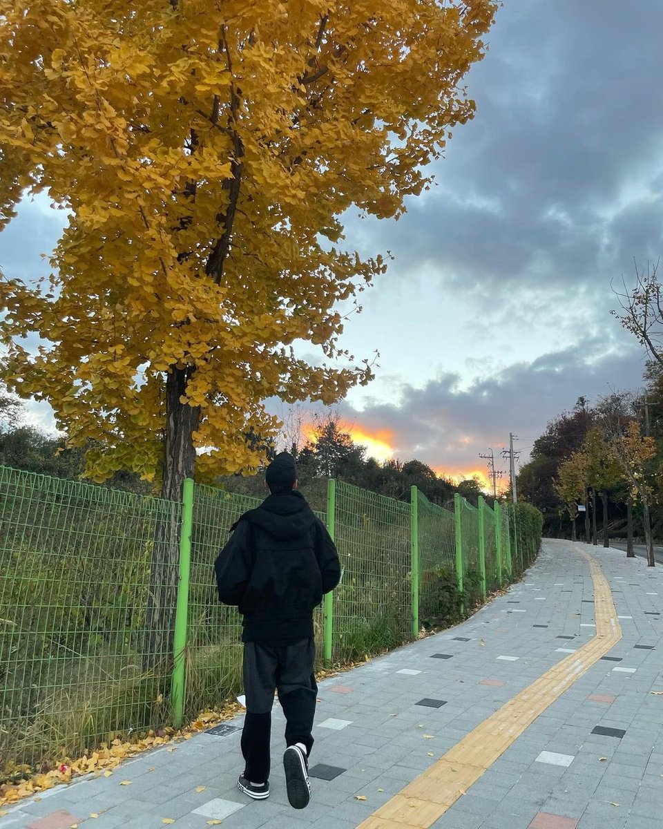 doyouctng's tweet photo. today a lot of leaves are falling, but the sky is beautiful. tmi, if you want to copy the crocs, it means you also copy Gongmyung hyung. https://t.co/0gHVnCYyYU
