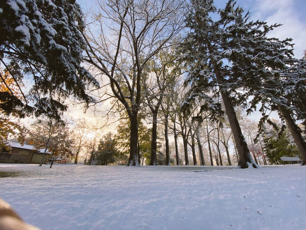 Something constant in the next 5 months...winter is a lot of work🤦