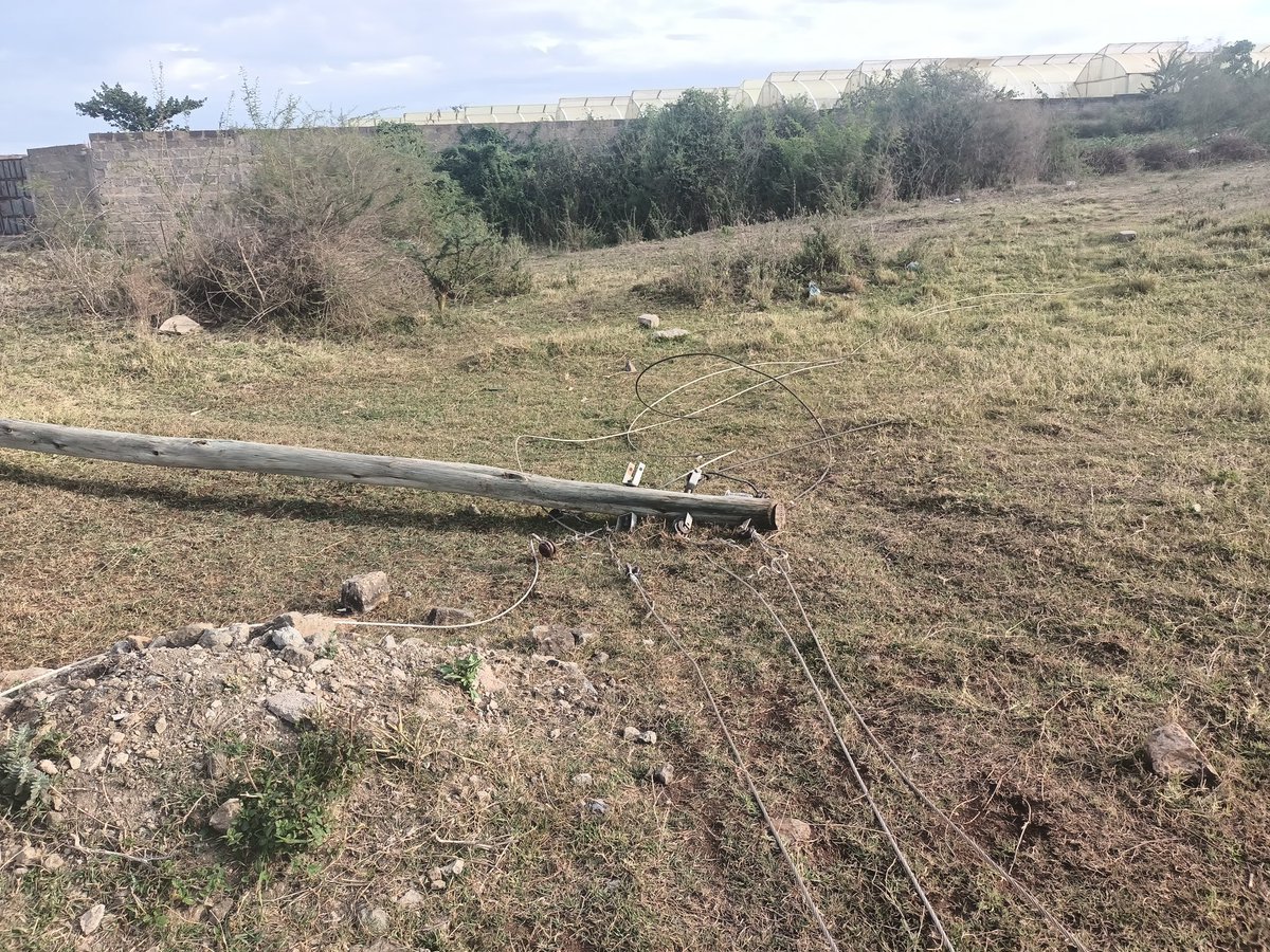 <a href="/KenyaPower_Care/">Kenya Power</a> kid's playing around dengerous wires on the ground  maps.app.goo.gl/U6YMRVNCpZzmct…