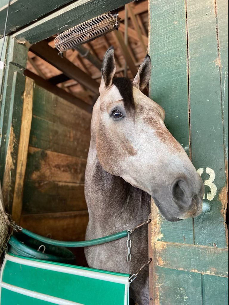 LibertyHouseRacing tweet media