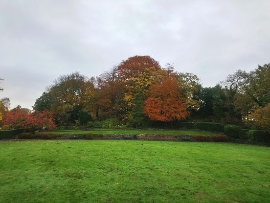 LancsMuseums's tweet photo. At #ClitheroeCastle we love our trees! Our surrounding grounds just wouldn't be the same without their natural beauty as we walk to work.
#FromTheStores #TreelyConnected #TreeWeek @TheTreeCouncil https://t.co/o1v0Eq9IV4