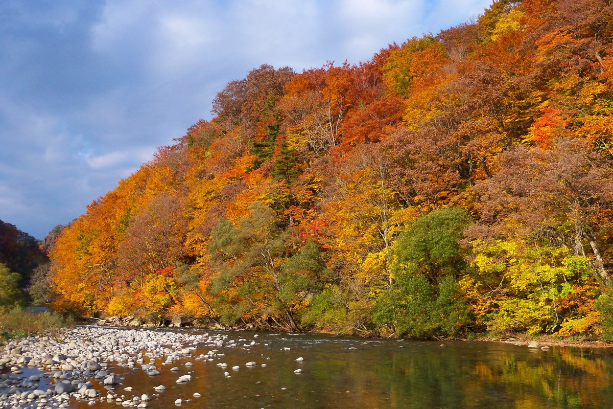 kelthraiden's tweet photo. 法体の滝
紅葉
とても綺麗でしたb
#法体の滝
#滝
#紅葉
#滝と紅葉
#写真好きな人と繋がりたい
#Z915 https://t.co/Y8RXzzYkMa