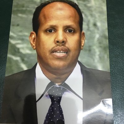 HassenRazag's tweet photo. اكد وزير خارجية #جيبوتي، محمود علي،أن بلاده لن تسمح لامريكا باستخدام أراضيها للاعتداء على #اثيوبيا، وذلك في تعليق على تصريحات قائد القاعدة الامريكية بجيبوتي،الذي اشار ان قواته يمكن ان تتدخل في اثيوبيا استجابة للازمة، و شدد يوسف ان الشراكة مع امريكا ليست موجهة ضد أي دولة أخرى https://t.co/SHRfbxrJhs