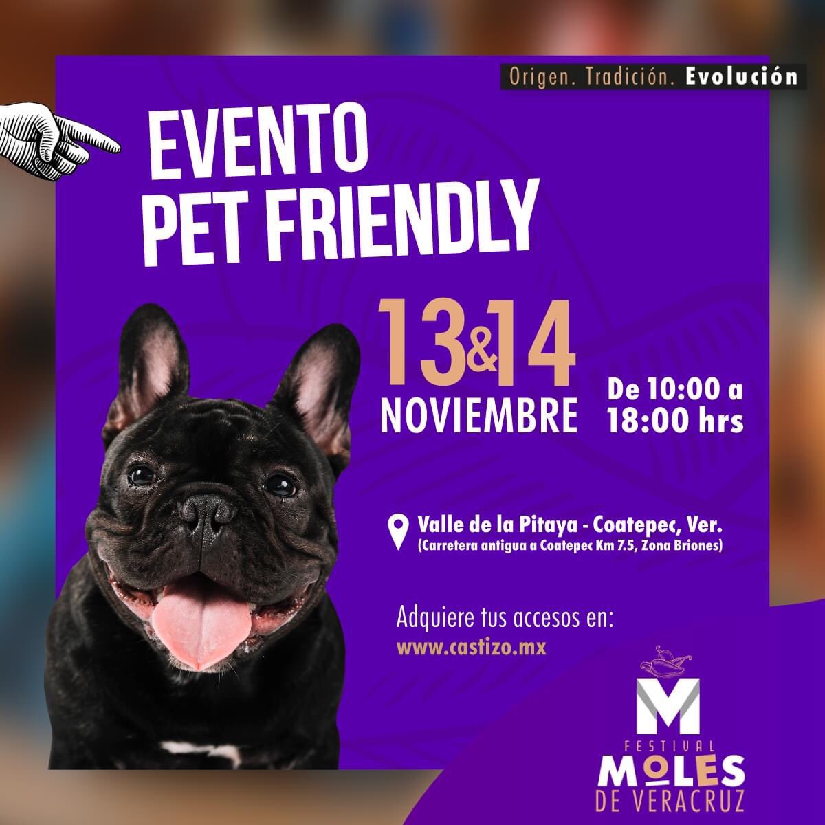 Dalia Pérez tweet media