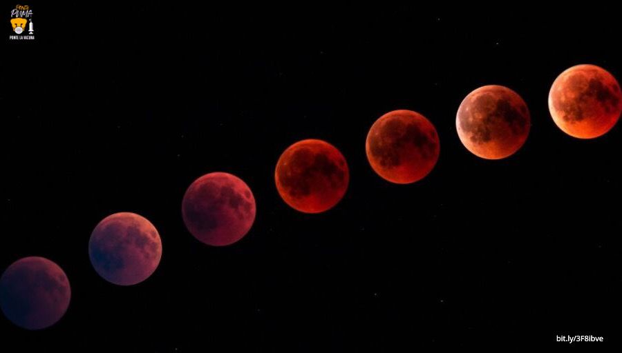UNAM_MX's tweet photo. #BoletínUNAM En las primeras horas del 19 de noviembre se registrará el eclipse de luna más largo del siglo, durante el cual lucirá más roja y espectacular de lo habitual: #ExpertaUNAM > https://t.co/28dzRVCjzJ
#VacúnateYPonte😷 https://t.co/qvUeOTB7tg