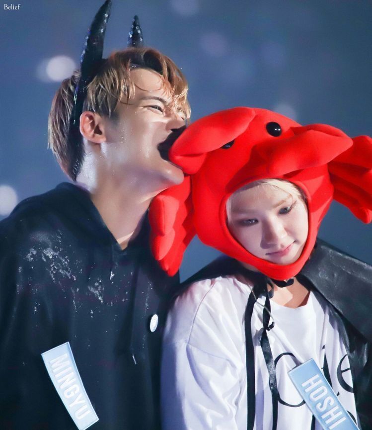 Yull_rut's tweet photo. #MAMAVOTE #seventeen
귀엽다고 생각한사람 알티 https://t.co/yKF1lgUS8V