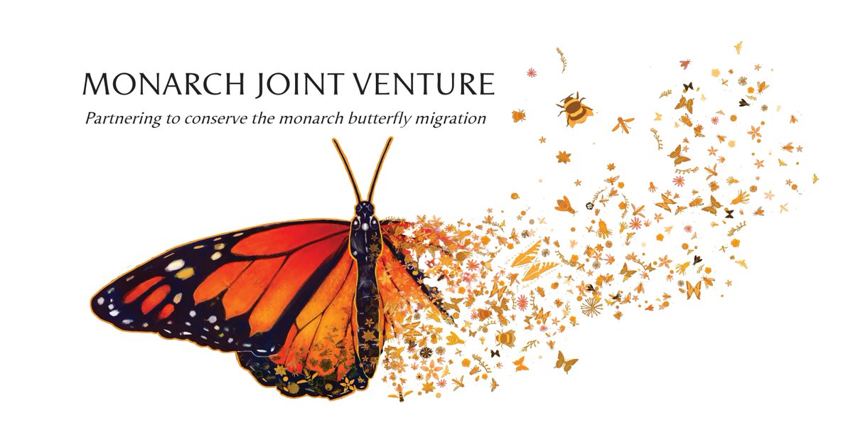 MonarchsJV's tweet photo. Want to learn more about what we do at the MJV? Partner @TexanbyNature gives you the lowdown on their blog: https://t.co/PIefcp29ZM
#collaborativeconservation #monarchbutterfly #pollinators #texanbynature #monarch #habitat #westernmonarchs #prairies #partnership https://t.co/OPNSjaxNRS