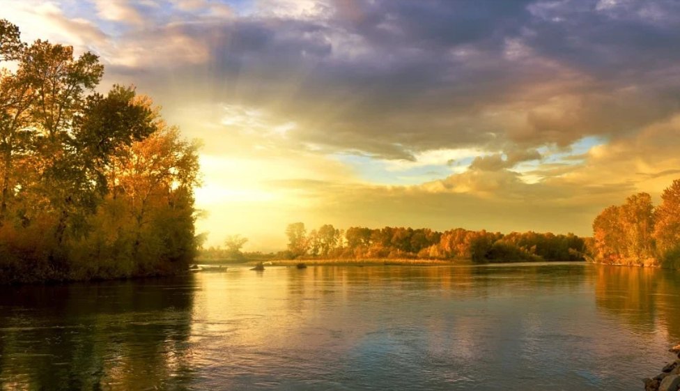 NebiaUk's tweet photo. Autumn is a time to focus on self-care! Take walks in nature, enjoy your surroundings, and don't forget to check in with your body and listen to what it needs 🍂 https://t.co/n4jFZ9wDf7
