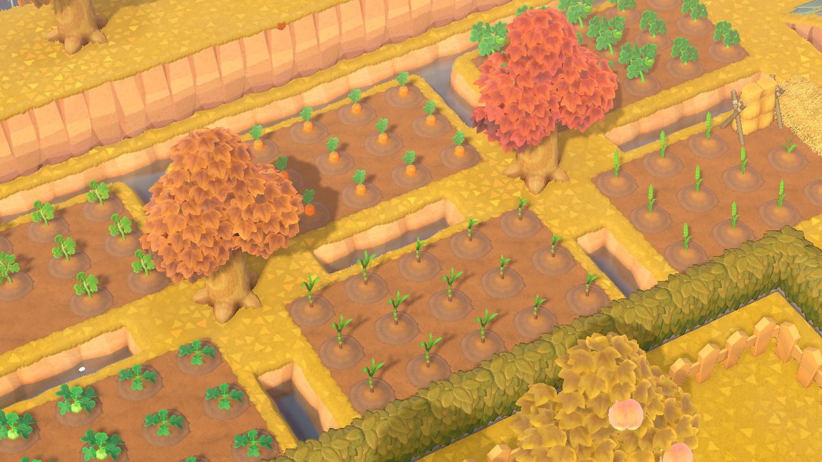 Lelexdu76's tweet photo. #AnimalCrossing #ACNH #NintendoSwitch https://t.co/w6rSH5ZY8l