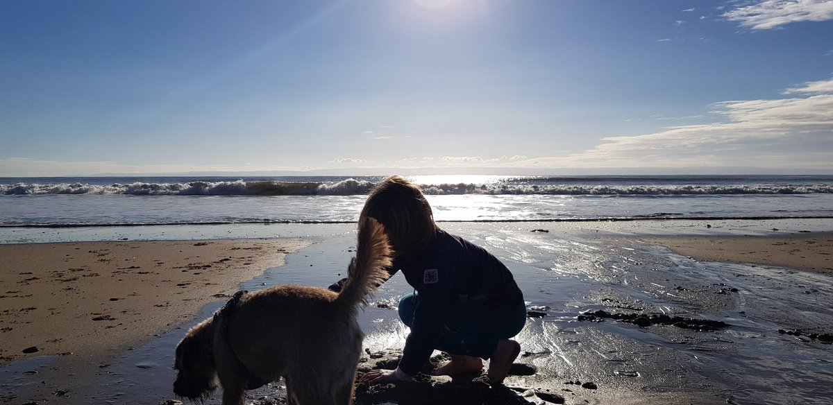 BtGryff's tweet photo. Happy pup. Bum up in the sand with HooBruv. https://t.co/FdZpTOdbC0