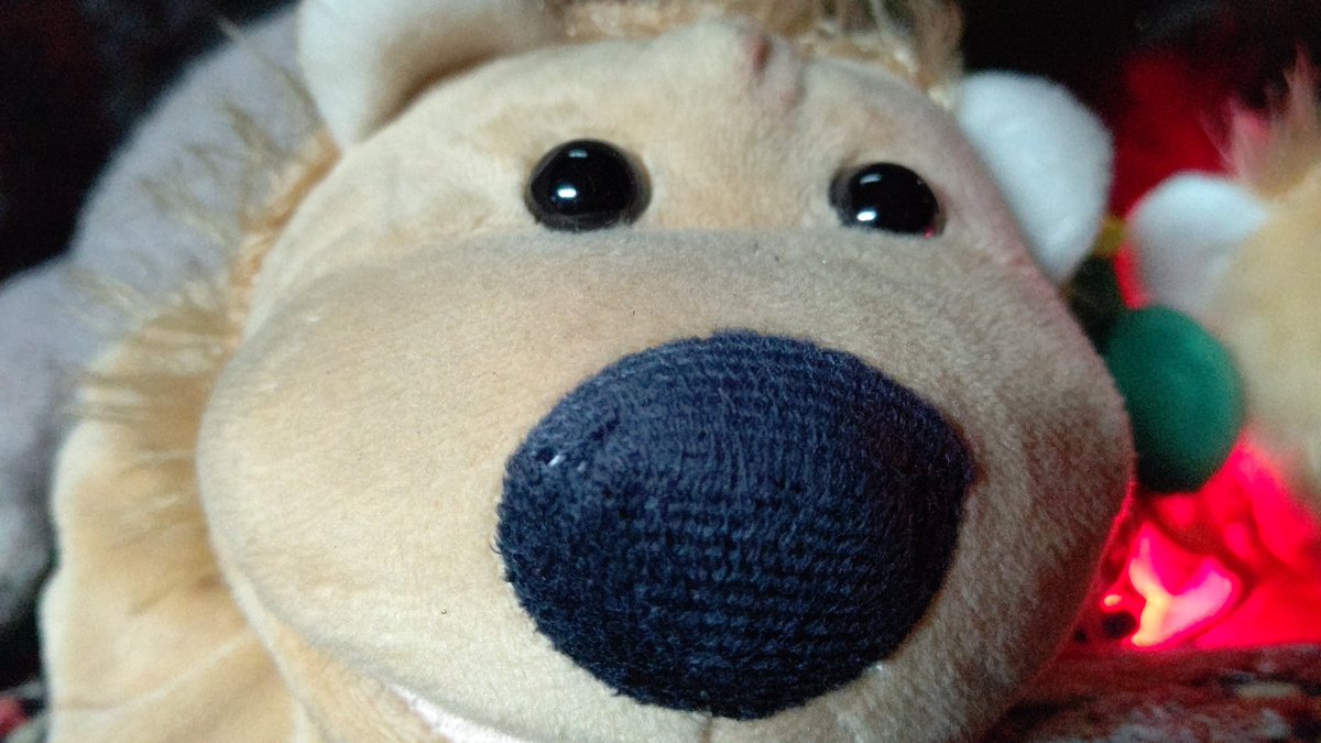 BO_LOVE69's tweet photo. @rurounin1349 今は笑っている🦁🦁🦁 https://t.co/77erfFlLev