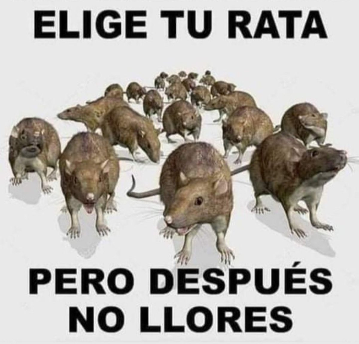 nachobsas21's tweet photo. #tolosapaz #tolosa @vtolosapaz
Votó Tolosa Paz y dijo:
HEMOS SUPIDO
De la familia de:
QUE NO SE PUDIO #Kicilloff
...

#VotaBien https://t.co/mp4GIWK1B0