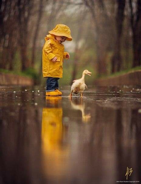 tkubanova1's tweet photo. Фото шедевр.Автор: Jake Olson https://t.co/NaFdQ6hx7N