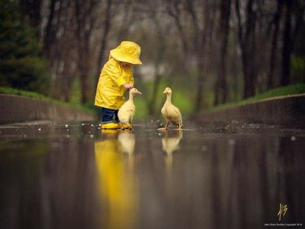 tkubanova1's tweet photo. Фото шедевр.Автор: Jake Olson https://t.co/NaFdQ6hx7N