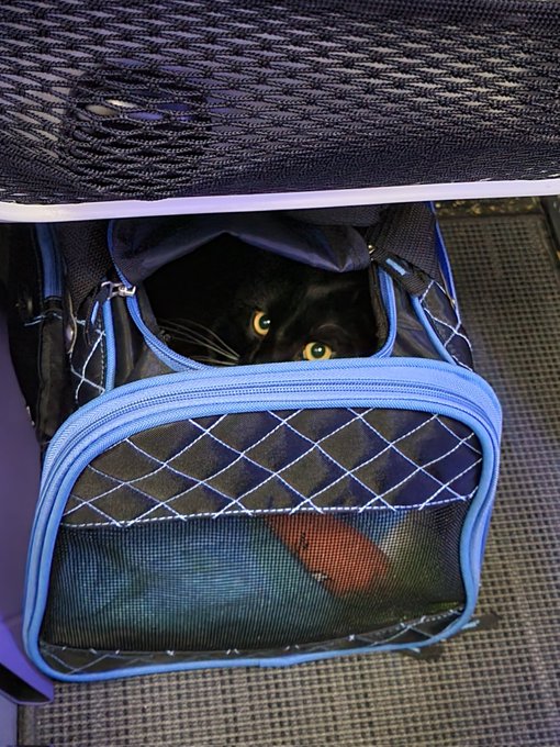 Vegas, here we come! https://t.co/8ZmonHLhbe<a href="/tag/watchingmymomgoblack"class="tags"><span>#watchingmymomgoblack</span></a>