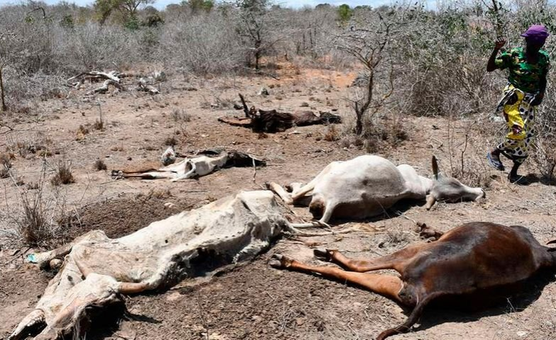 allafrica's tweet photo. COP26 a Huge Dissapointment for Countries Facing Climate Crisis https://t.co/SxGhDTVtge #Africa #AfricaClimateCrisis #ClimateEmergency #ClimateAction #FossilFuels #NoJustice #ClimateJustice @COP26 https://t.co/C6z57wtYho