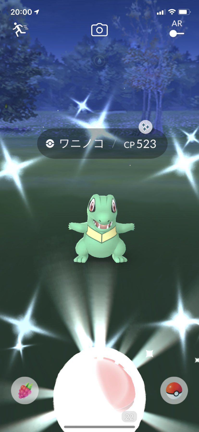 ワニノコ色違い Twitter Search Twitter