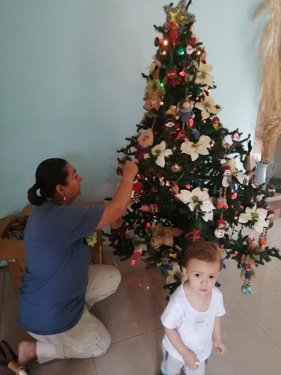 daniruizlopez's tweet photo. #armandolanavidad @RadioPlaneta969  aqui armando el árbol con la familia https://t.co/DGDfIBYxSI