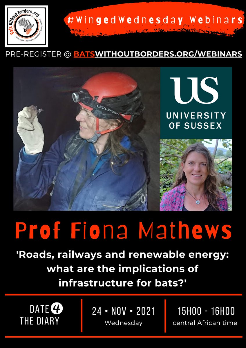 bats_w_borders's tweet photo. Our next #WingedWednesdayWebinar will by on the implications of infrastructure for bats by Fiona Mathews from the University of Sussex. Sign up to join us: https://t.co/E9YTfcgbl3 #bats #batscience #batconservation #infrastructure #webinar #signup https://t.co/H5Etvfpp83
