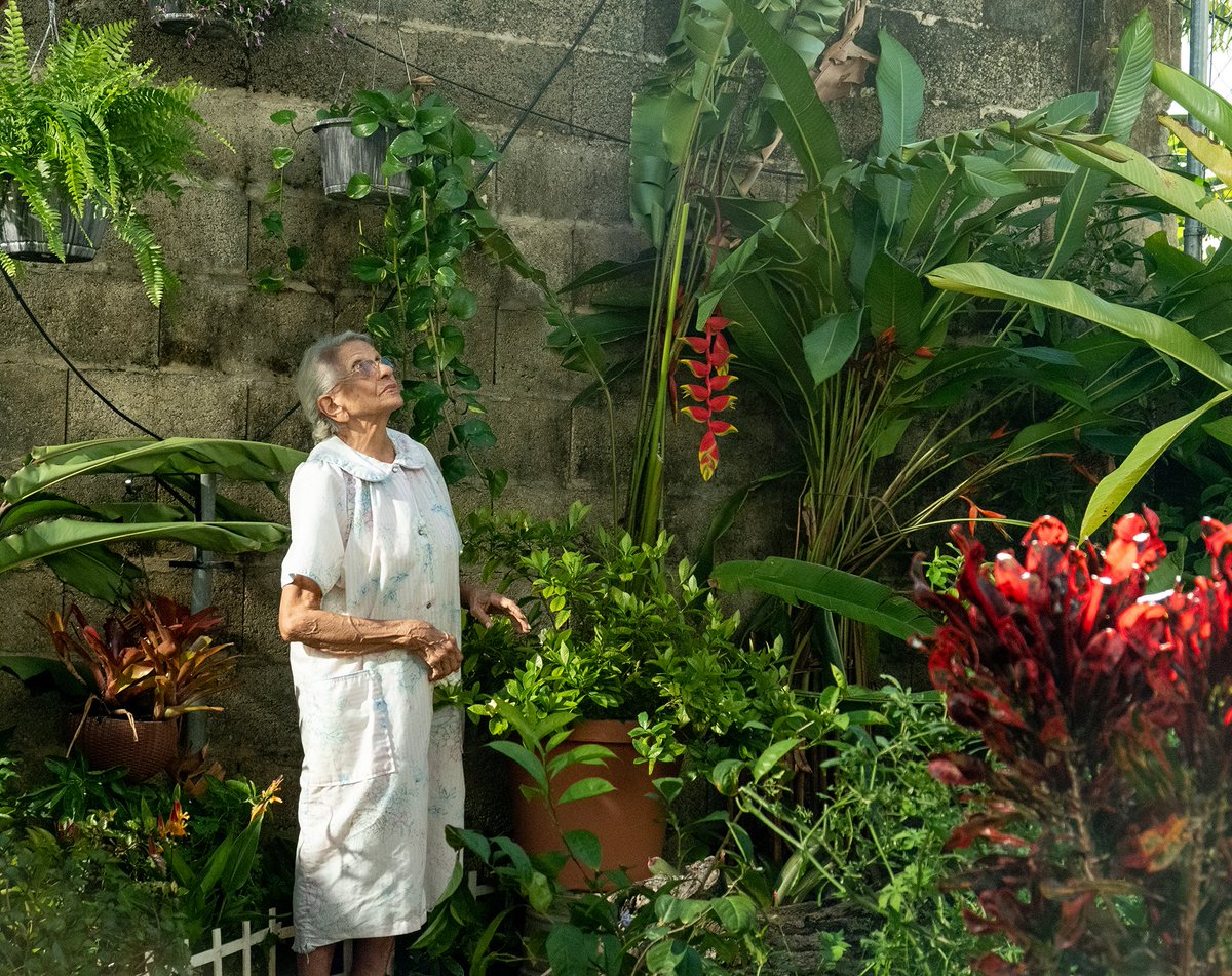 CinemaTropical's tweet photo. Latinx filmmakers take top honors at the New Orleans Film Festival #NOFF2021
https://t.co/lssatTIVDX https://t.co/JhG8YMbejh