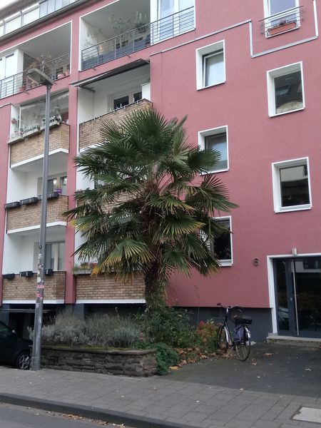 KoelnLove's tweet image. #KölnEhrenfeld