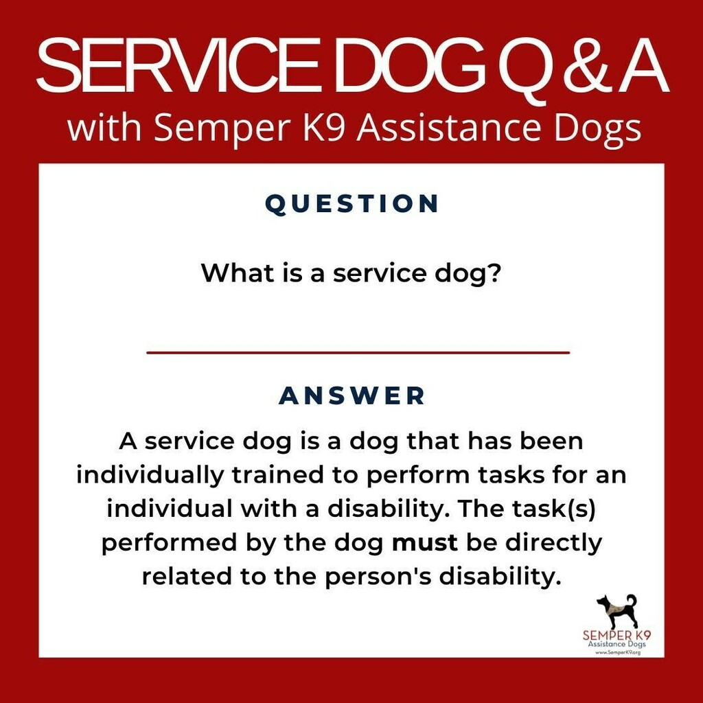 semperk9's tweet photo. As part of our Service dog Q&amp;A we start with one of the most common questions we get when we are out in public with a service dog in training. 

If you have a question about service dogs that you want to be answered, let us know in the comments! 

Feel f… https://t.co/3oowOuwPzJ https://t.co/8oo1E9OU3A