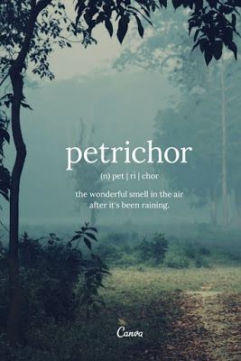 Summer__Phoenix's tweet photo. #Word | #ObscureWord | #RareWord https://t.co/azrKHDen8B