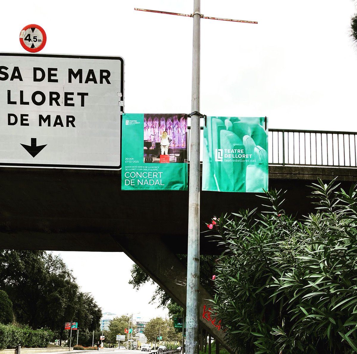 🔺 A LLORET anuncien el nostre proper CONCERT
❣️Te’l perdràs?
❤️ A benefici de <a href="/la_marato/">La Marató de 3Cat</a> de <a href="/tv3cat/">TV3 és ara @Som3Cat</a> dedicada a la salut mental

🎭 Teatre Municipal
📅 Dv 17/12
🕗 20 h
✅ 10 € (Venda d’entrades 1h abans a taquilla)

Concert #Nadal organitzat pels Amics de la  Música de Lloret