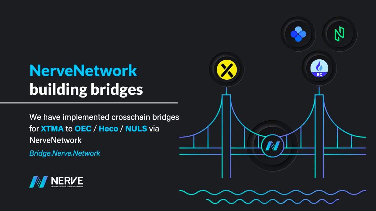 NerveNetwork tweet media