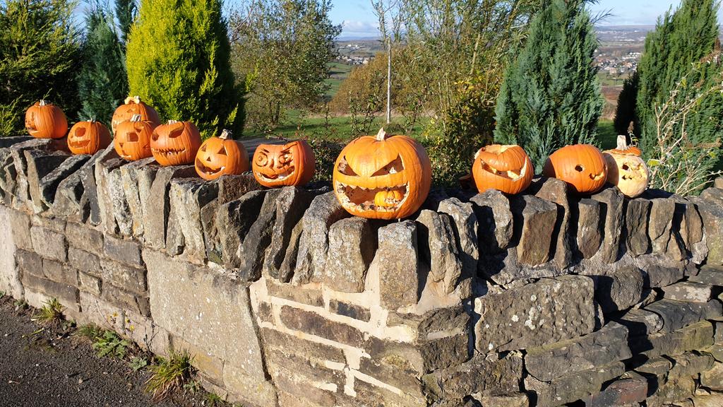 Something I came accross on my walk this weekend...very impressed