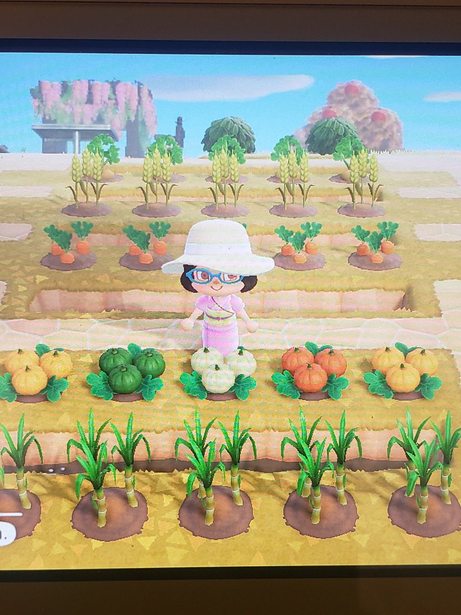 whyte_melissa's tweet photo. My veggies are coming along nicely!! https://t.co/7iWcfprLFx
