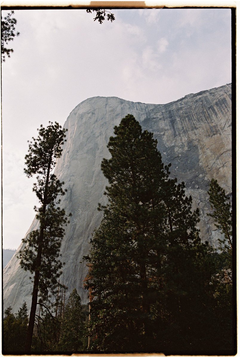 nicsagodic's tweet photo. Yosemite NP shot on @Kodak portra 400 #film #kodak #35mm #filmphotography https://t.co/Pr9aTqFGIY