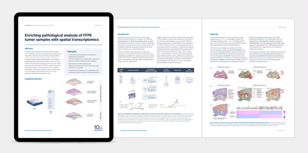 Michael P Mariani, PhD tweet media