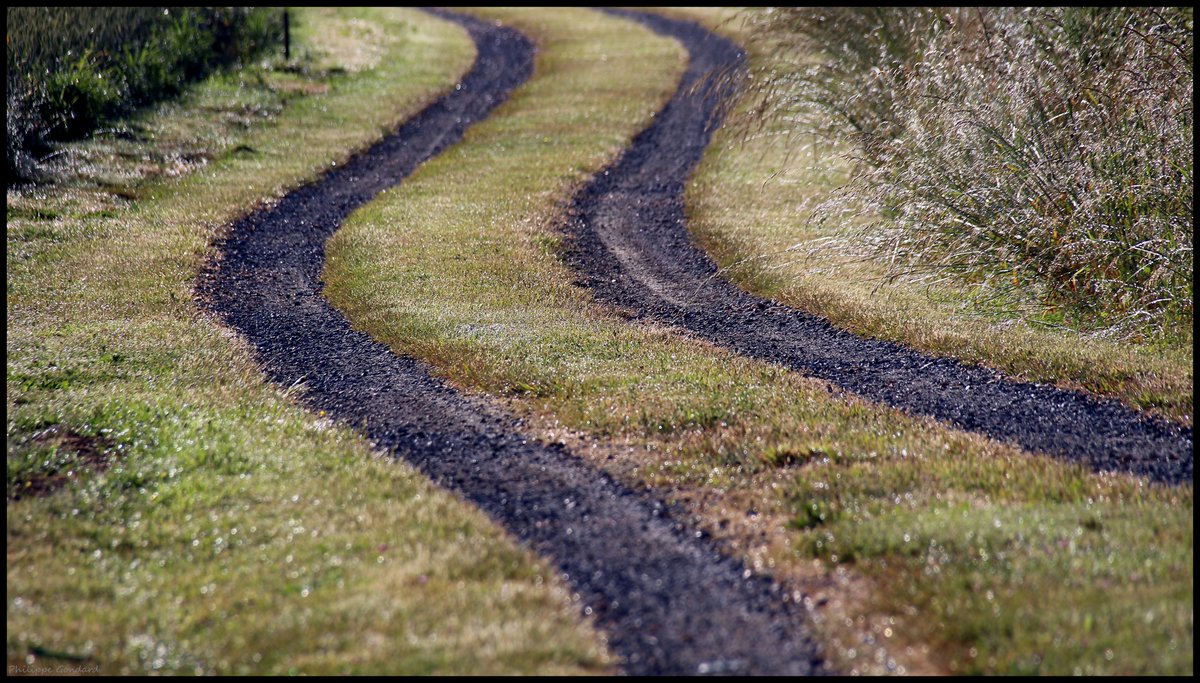 PhilGondard's tweet photo. Rahay (Sarthe) #Rahay #Sarthe #lasarthe #sarthetourisme #labellesarthe #labelsarthe #Maine #paysdelaloire #paysage #nature #campagne #rural #ruralité #gondard #route #road #OnTheRoadAgain #graphique #ombre #noiretblanc #blackandwhite https://t.co/Wf1WF7utwu