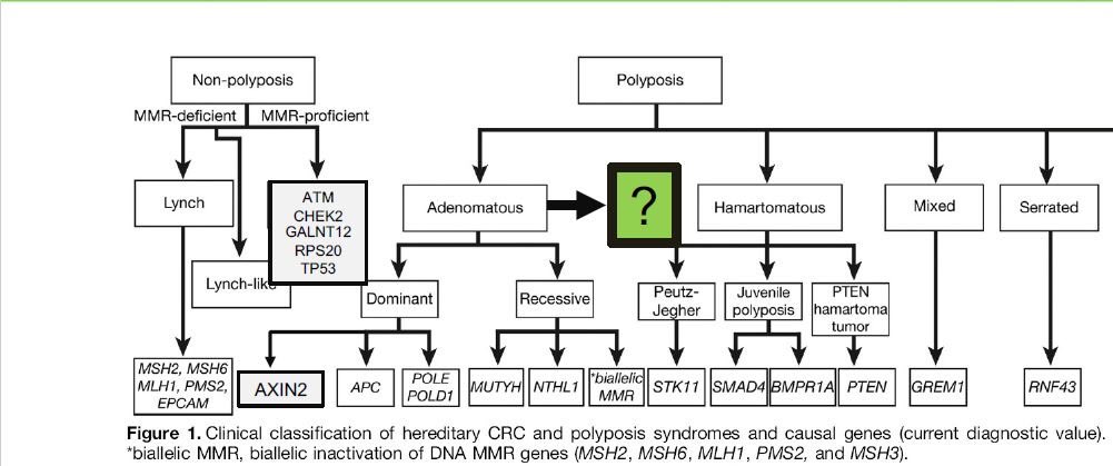 Melyssa Aronson tweet media
