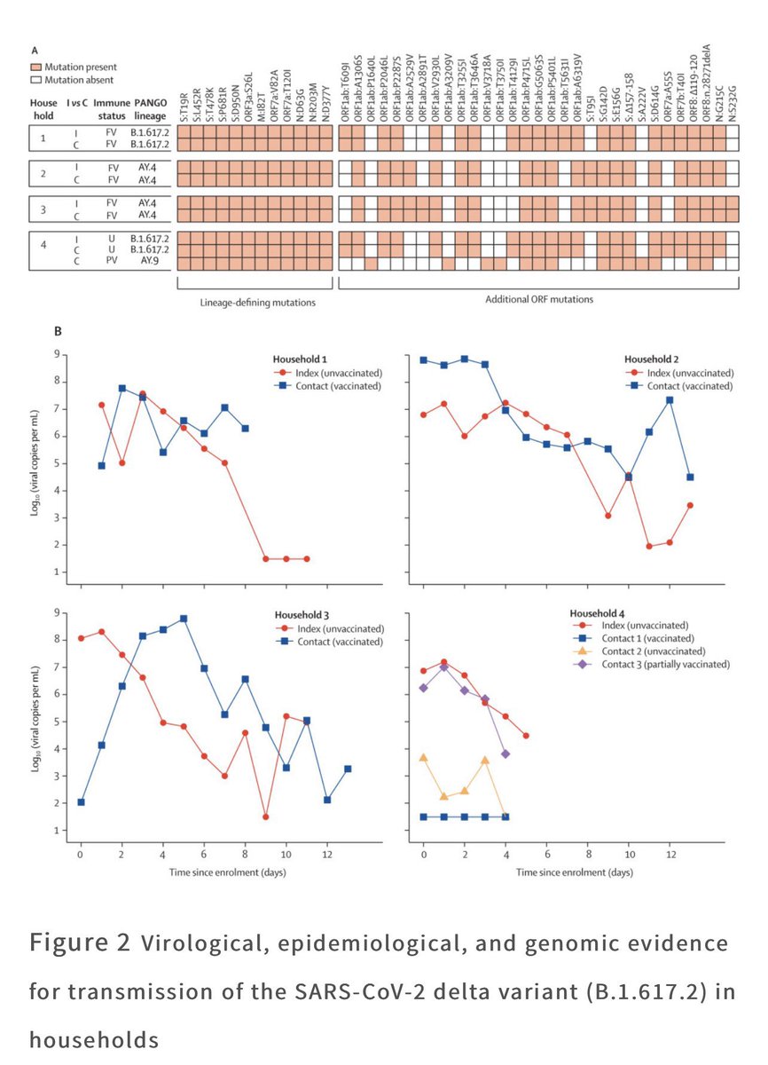 WOW: Lancet study proves the shot does not prevent transmission. 

“fully vaccinated individuals with breakthrough infections have peak viral load similar to unvaccinated cases and can efficiently transmit infection in household settings, including to fully vaccinated”
