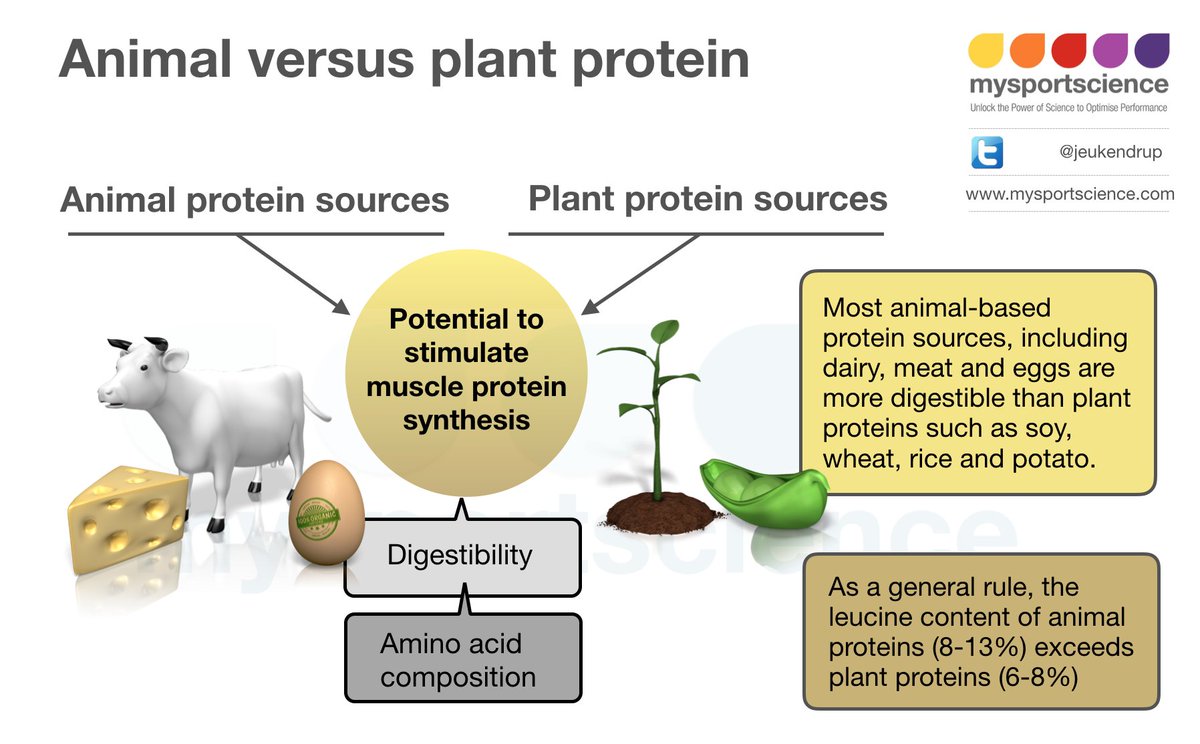 Jeukendrup's tweet photo. Animal versus plant proteins https://t.co/ULQ2hn6u92 https://t.co/9NhswjqYJe